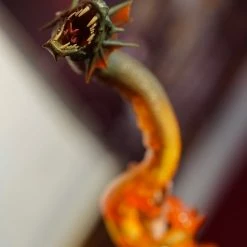 Preorder! Hot Toys MMS645 Dr Strange Multiverse Of Madness Dr Strange