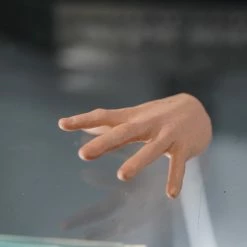 Preorder! Hot Toys DX25 Star Wars Empire Strikes Back Luke Skywalker Luke Skywalker Bespin Deluxe Edition