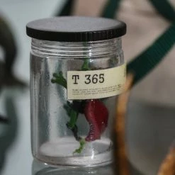 Preorder! Hot Toys TMS073 Loki Classic Loki