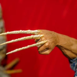 Preorder! Hot Toys MMS660B X-Men: Days Of Future Past 1/6th Scale Wolverine (1973 Version) Collectible Figure (Deluxe Version Special Edition)