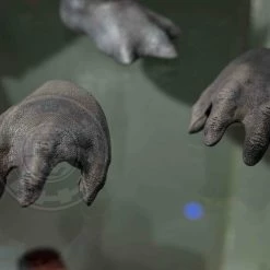 Preorder! Hot Toys DC The Suicide Squad King Shark